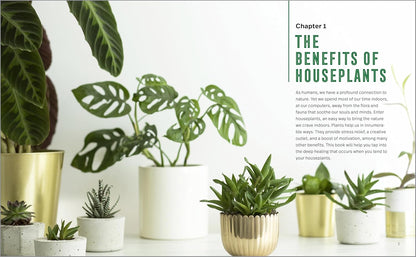 Houseplants for Beginners: A Practical Guide to Choosing, Growing, and Helping Your Plants Thrive: A Practical Guide to Choosing, Growing, and Helping Your Plants Thrive