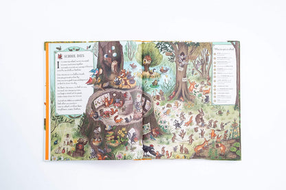 If You Go Down to the Woods Today: More Than 100 Things to Find (Brown Bear Wood)