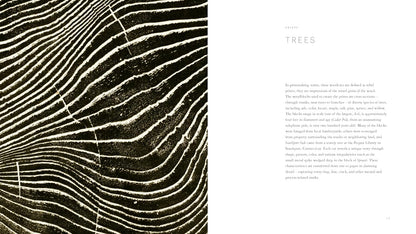 Woodcut by Bryan Nash Gill
