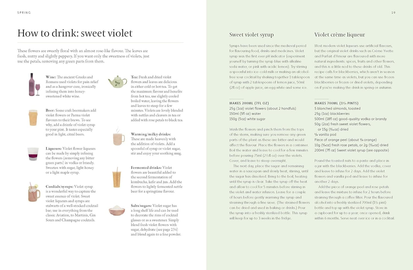 A Forager's Guide to Wild Drinks: Ferments, Infusions and Thirst-Quenchers for Every Season