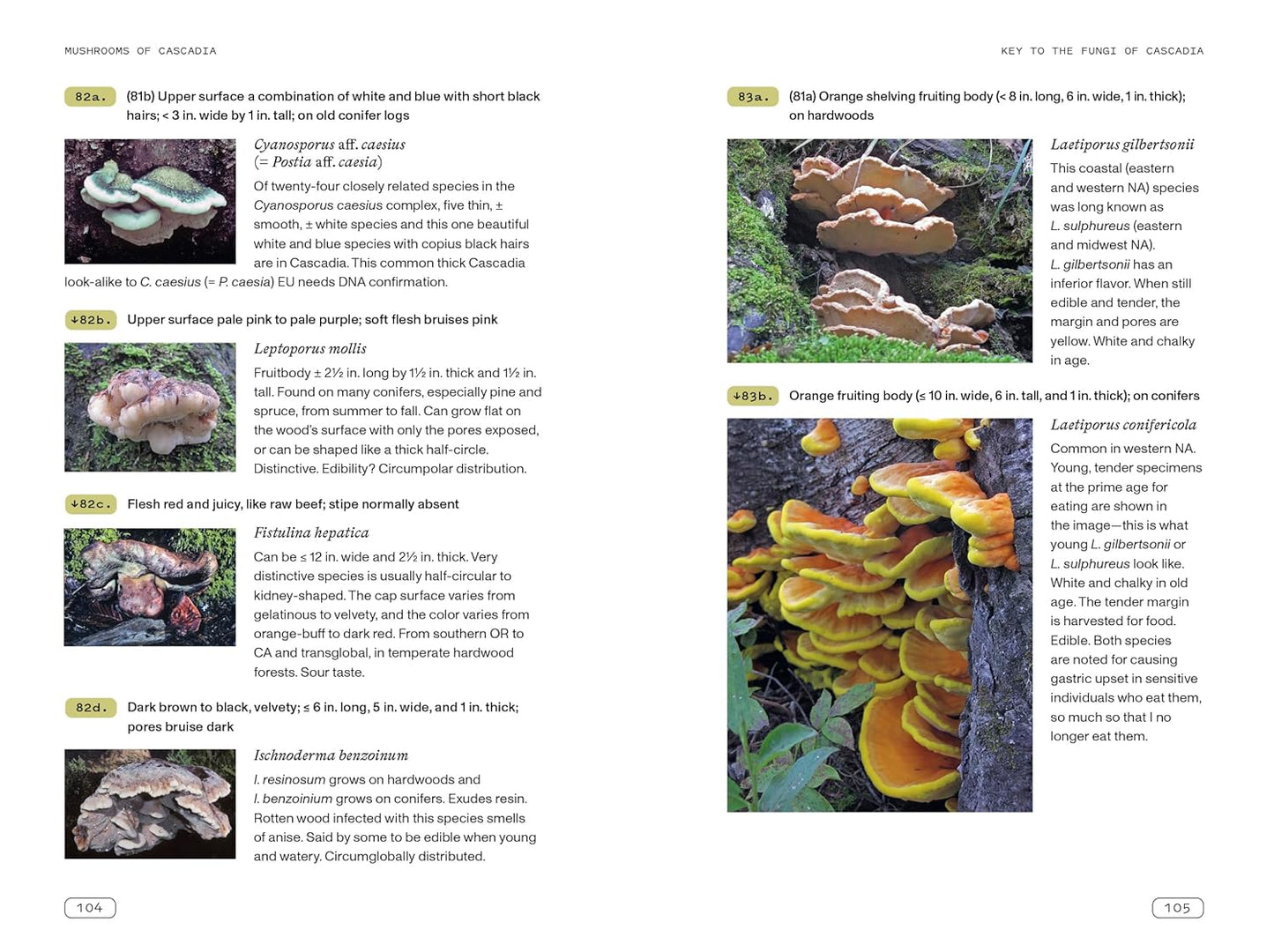 Mushrooms of Cascadia, Second Edition: An Illustrated Key to the Fungi of the Pacific Northwest: An Illustrated Key to the Fungi of the Pacific Northwest