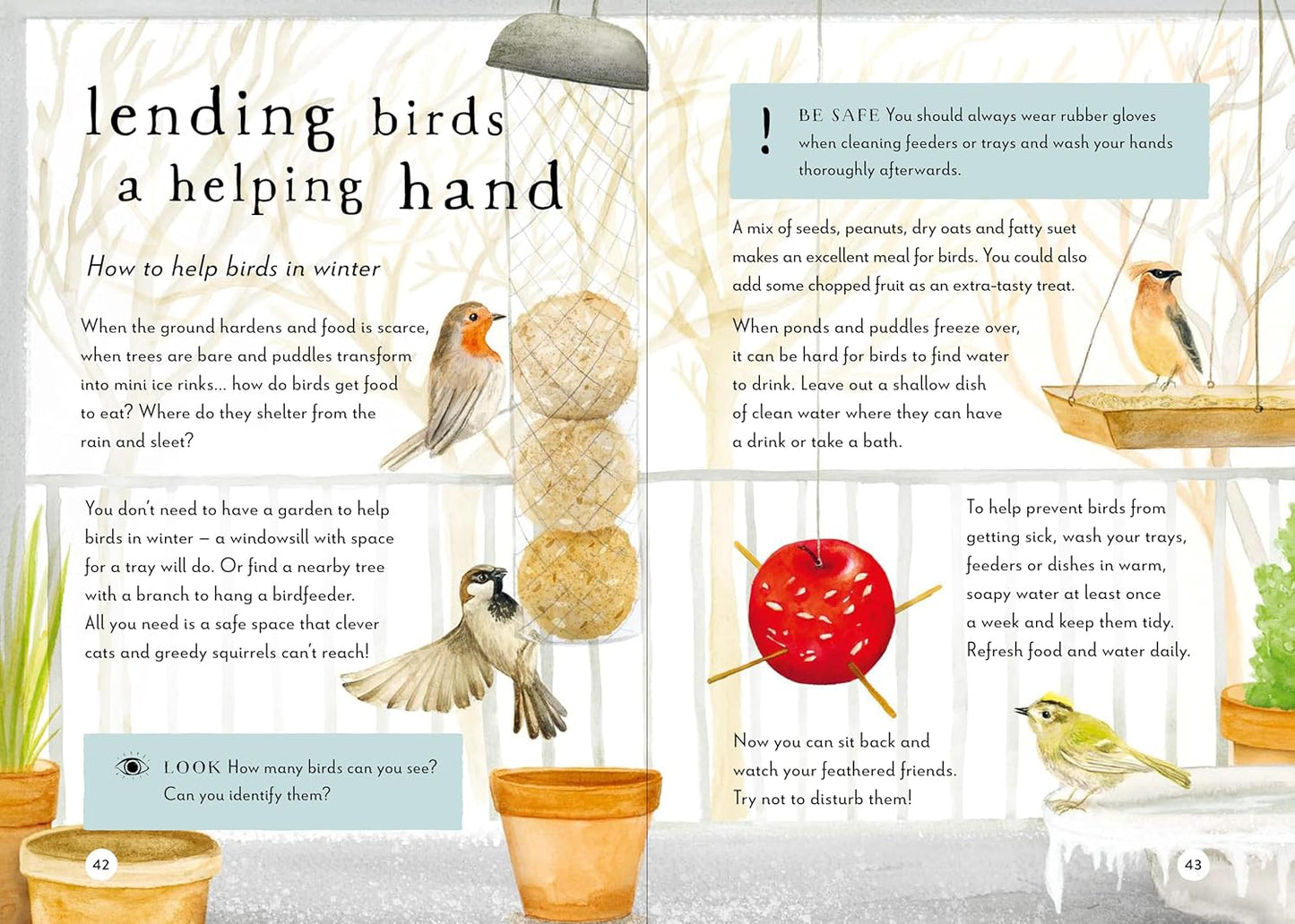A Field Guide to Winter: Play and Learn in Nature