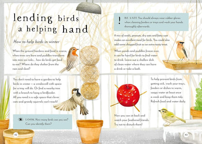 A Field Guide to Winter: Play and Learn in Nature
