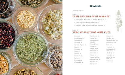 Herbal Medicine for Modern Life: Traditional Folk Remedies for Everyday Health and Well-Being by Ruth Blanding
