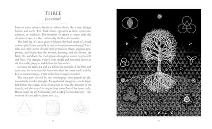 Sacred Number: The Secret Qualities of Quantities