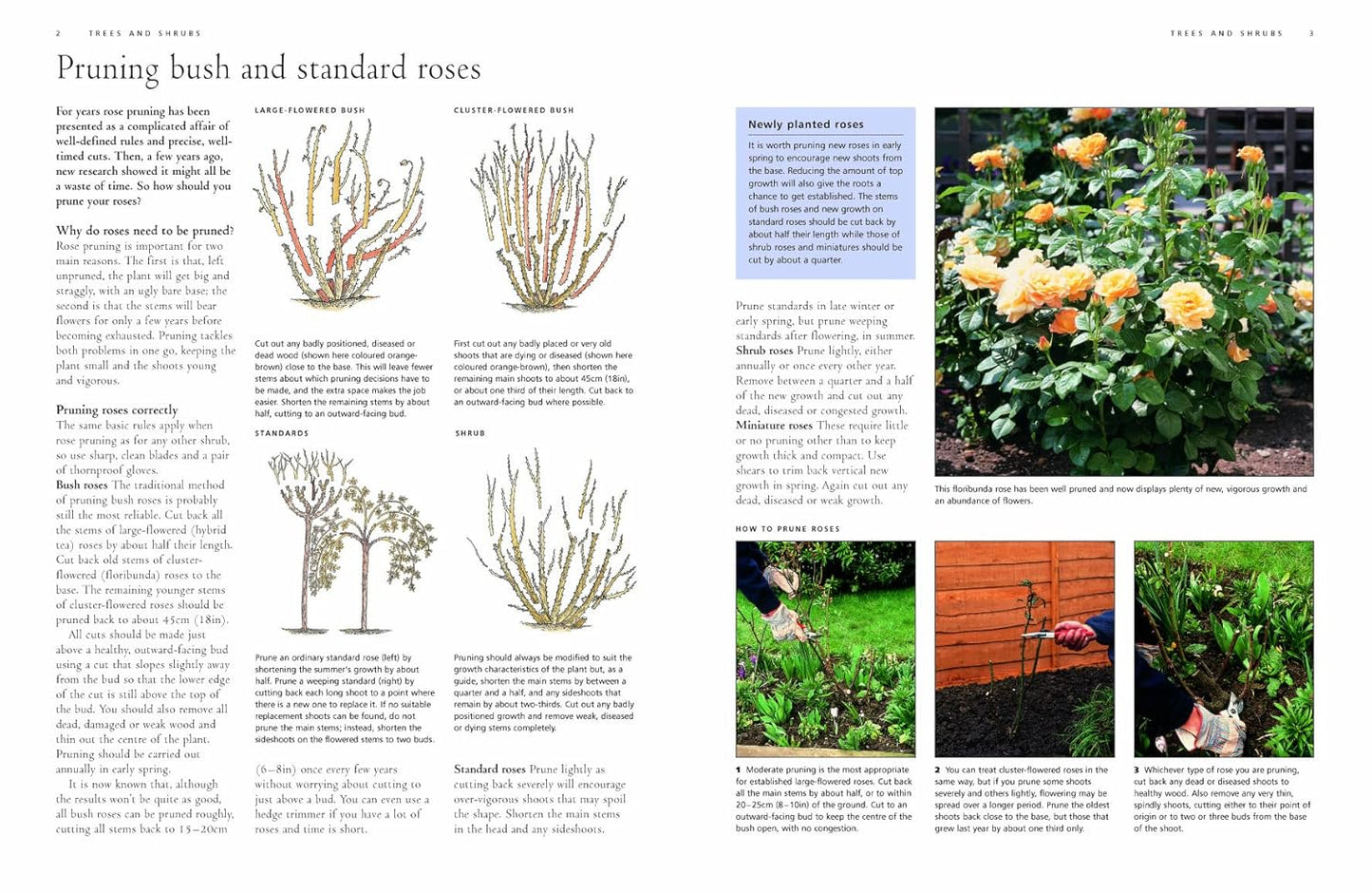 Illustrated Practical Encyclopedia of Pruning, Training and Topiary: How to Prune and Train Trees, Shrubs, Hedges, Topiary, Tree and Soft Fruit, Climb