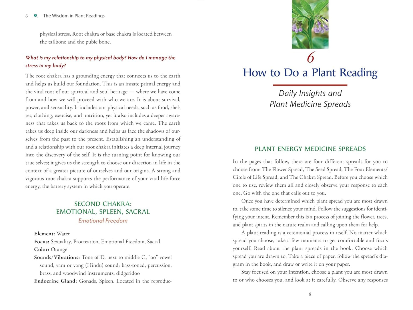 Plant Energy Medicine: The Guiding Voice and Healing Vibration of 58 Plants: The Guiding Voice and Healing Vibration of 58 Plants