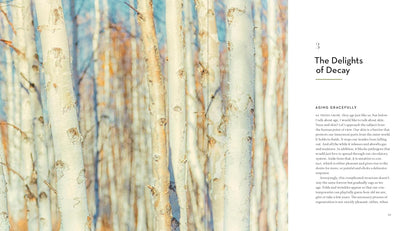 The Hidden Life of Trees: The Illustrated Edition