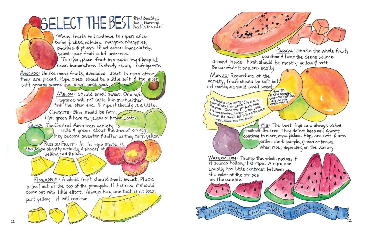 Mi Comida Latina: Vibrant, Fresh, Simple, Authentic by Marcella Kriebel