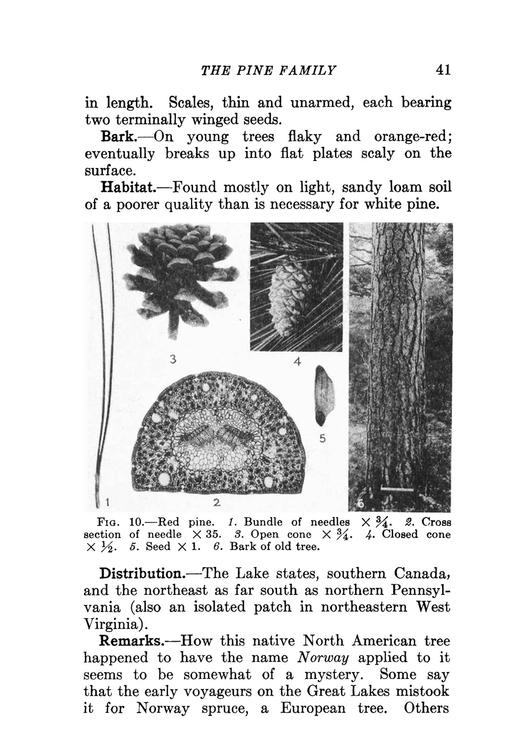 Trees of the Eastern and Central United States and Canada: The Identification, Habits, Distribution, Woodlore and Uses of Conifers and Hardwoods, Both