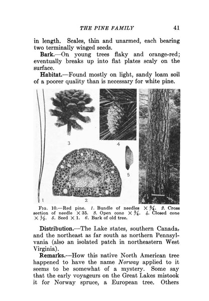 Trees of the Eastern and Central United States and Canada: The Identification, Habits, Distribution, Woodlore and Uses of Conifers and Hardwoods, Both