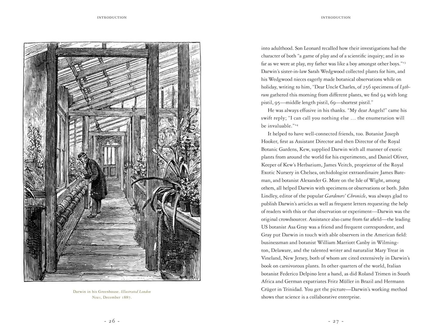 Darwin and the Art of Botany: Observations on the Curious World of Plants: Observations on the Curious World of Plants