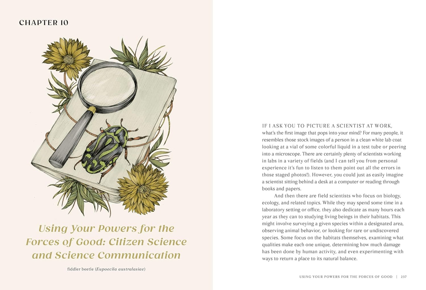 The Everyday Naturalist: How to Identify Animals, Plants, and Fungi Wherever You Go by Rebecca Lexa