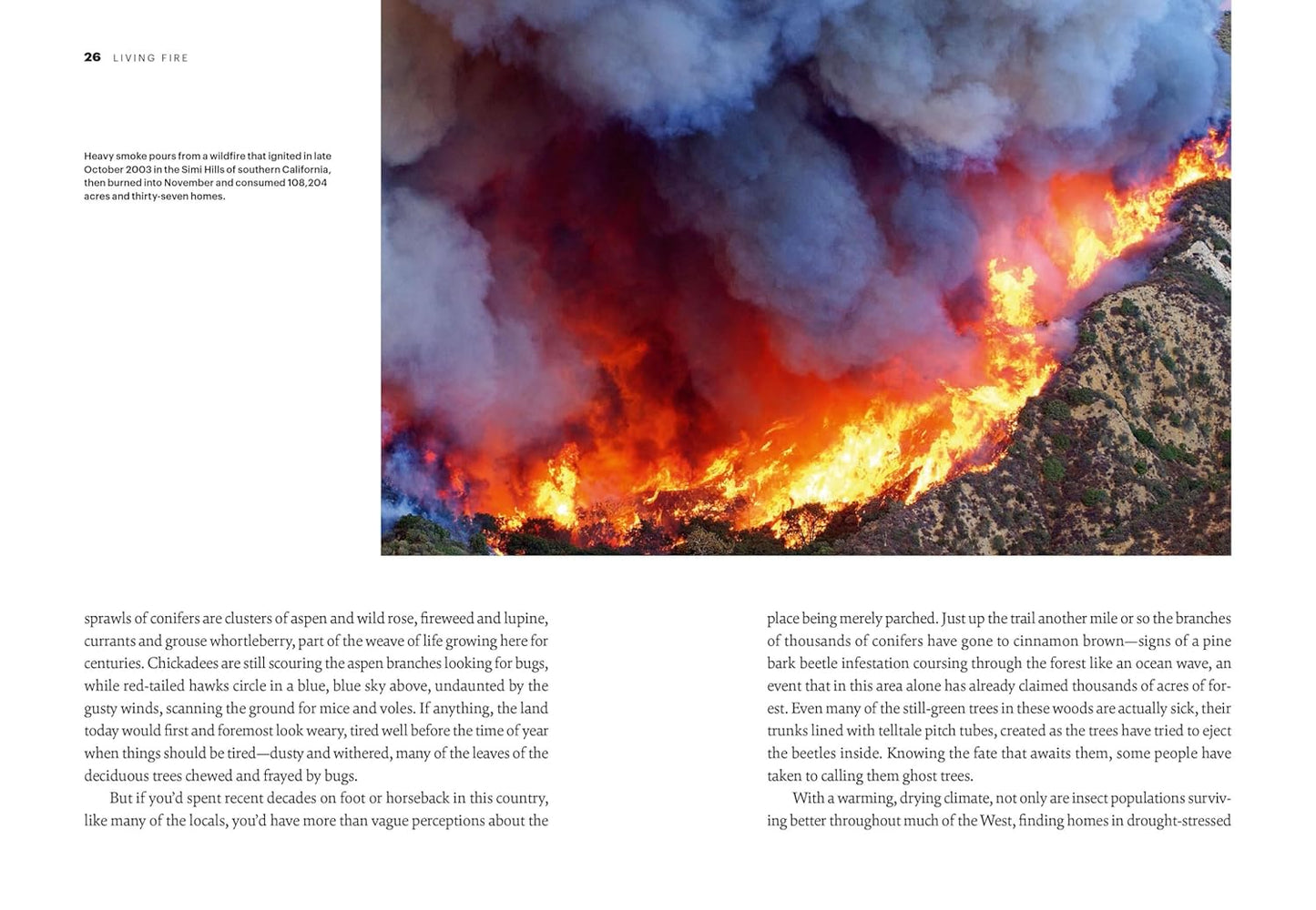 Land on Fire: The New Reality of Wildfire in the West by Gary Ferguson