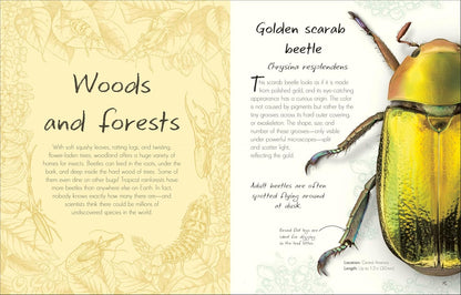 An Anthology of Beetles: A Collection of Brilliant Beetles from Around the World