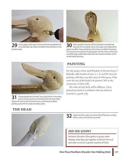 Carving Creative Walking Sticks and Canes: 13 Projects to Carve in Wood: 13 Projects to Carve in Wood