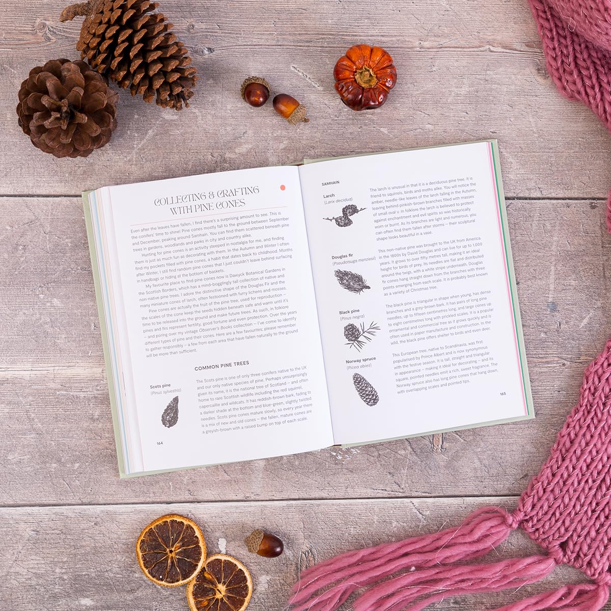 Slow Seasons: A Creative Guide to Reconnecting with Nature the Celtic Way: A Creative Guide to Reconnecting with Nature the Celtic Way