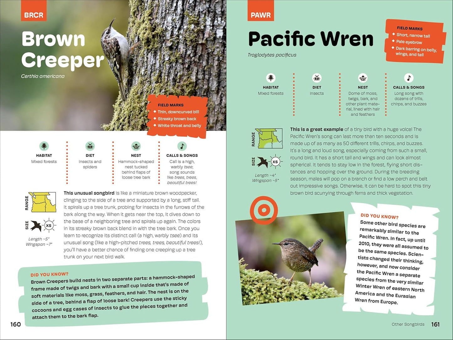 Birds of the Pacific Northwest for Kids