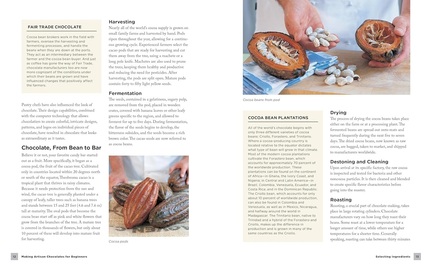 Making Artisan Chocolates for Beginners: Flavor-Infused Chocolates, Truffles, and Confections: Flavor-Infused Chocolates, Truffles, and Confections