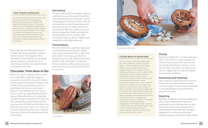 Making Artisan Chocolates for Beginners: Flavor-Infused Chocolates, Truffles, and Confections: Flavor-Infused Chocolates, Truffles, and Confections