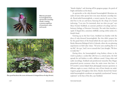 Wildscape: Trilling Chipmunks, Beckoning Blooms, Salty Butterflies, and Other Sensory Wonders of Nature by Nancy Lawson