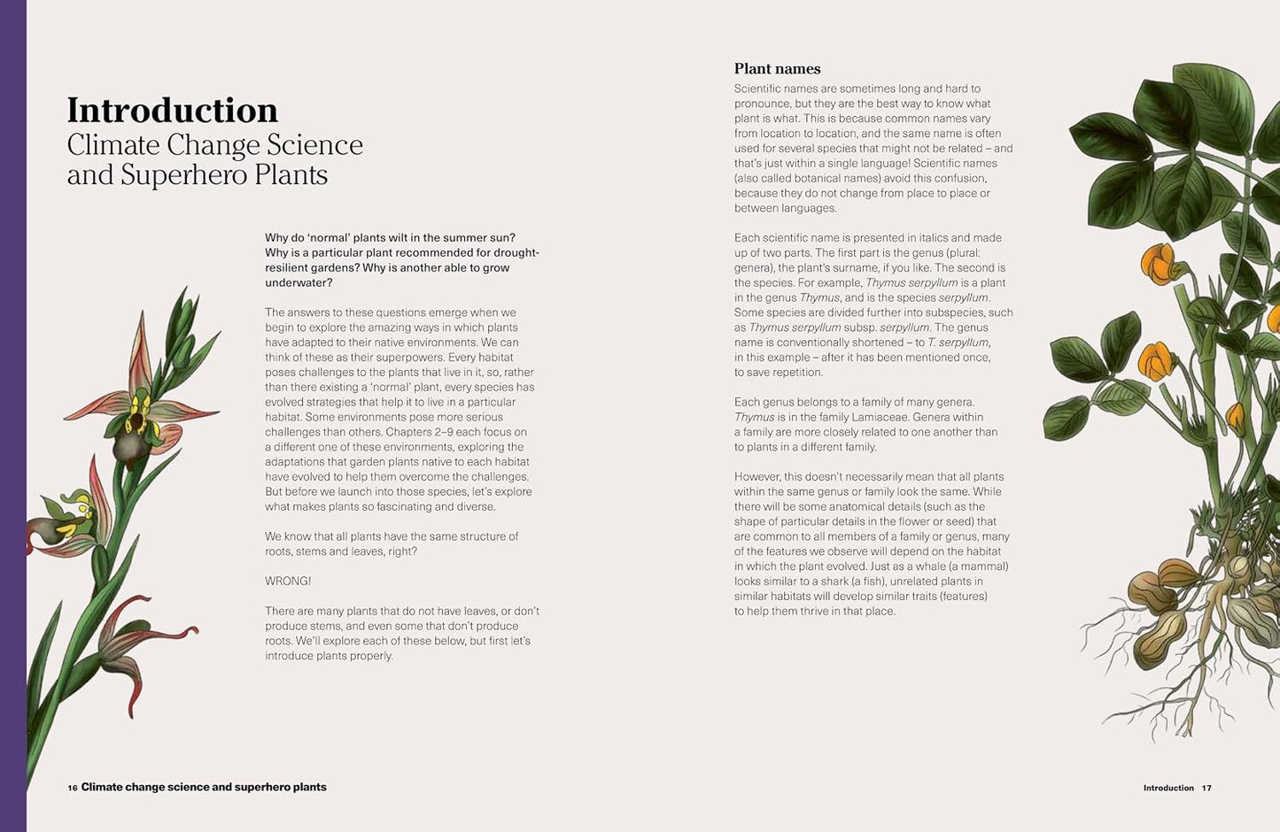 What to Grow for a Climate Resilient Garden: Practical Advice for Gardeners on Plants That Can Cope in All Climates