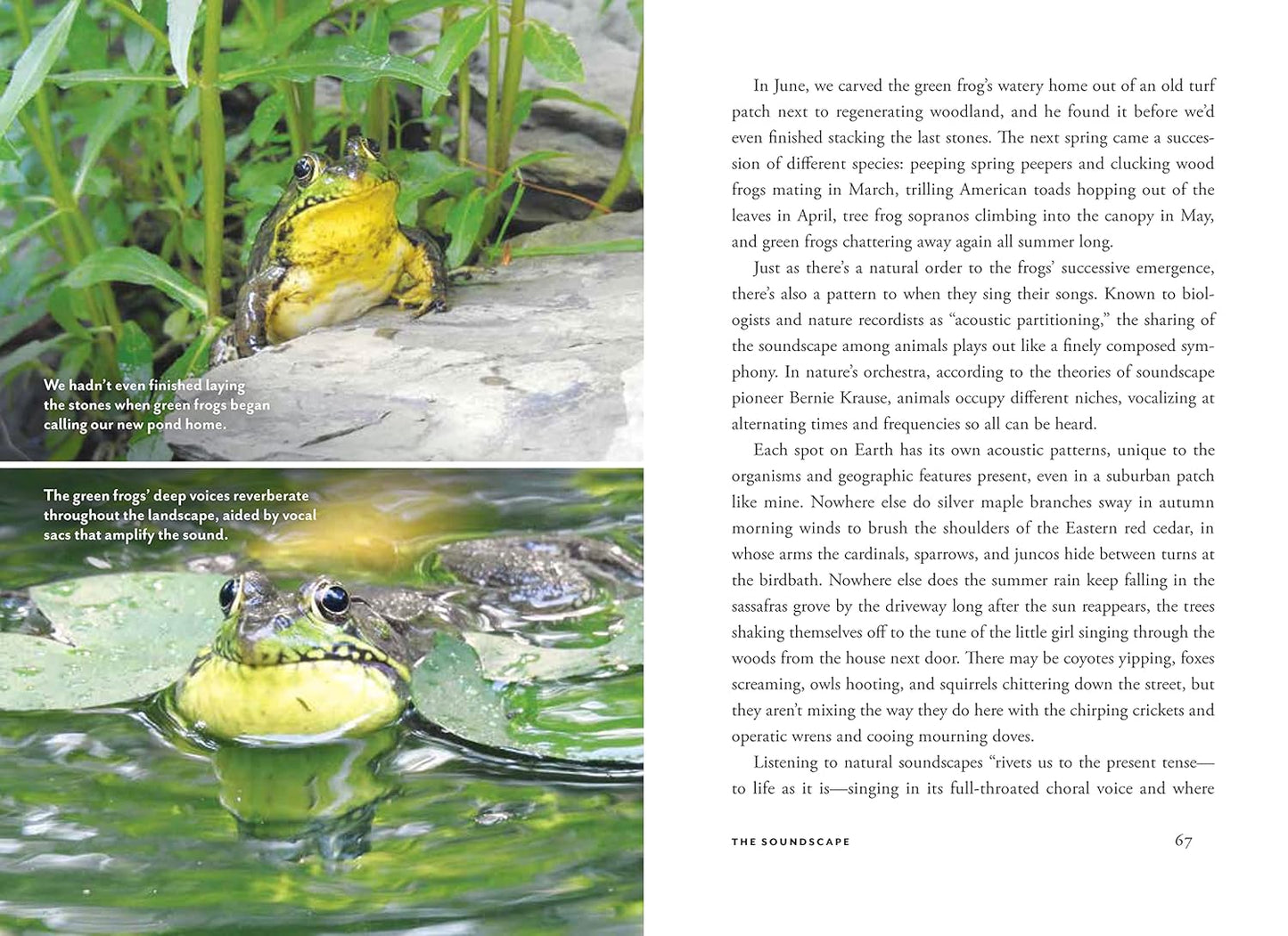 Wildscape: Trilling Chipmunks, Beckoning Blooms, Salty Butterflies, and Other Sensory Wonders of Nature by Nancy Lawson