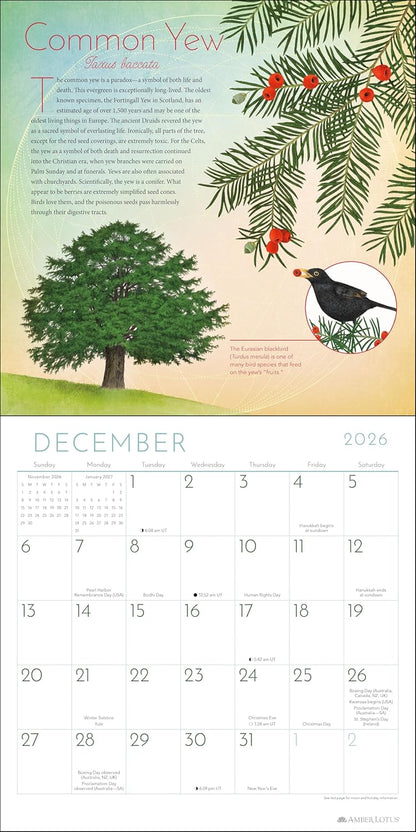 Trees of Life 2026 Wall Calendar: Celebrating the World's Sacred Species by Matt Strieby