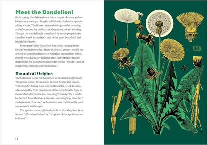 Dandelion Medicine, 2nd Edition: Forage, Feast, and Nourish Yourself with This Extraordinary Weed