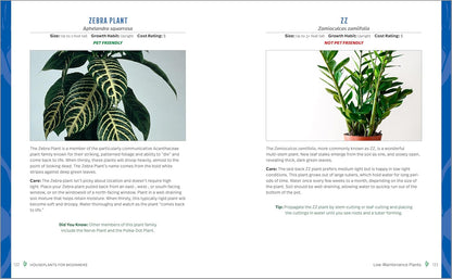 Houseplants for Beginners: A Practical Guide to Choosing, Growing, and Helping Your Plants Thrive: A Practical Guide to Choosing, Growing, and Helping Your Plants Thrive