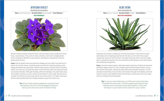 Houseplants for Beginners: A Practical Guide to Choosing, Growing, and Helping Your Plants Thrive: A Practical Guide to Choosing, Growing, and Helping Your Plants Thrive