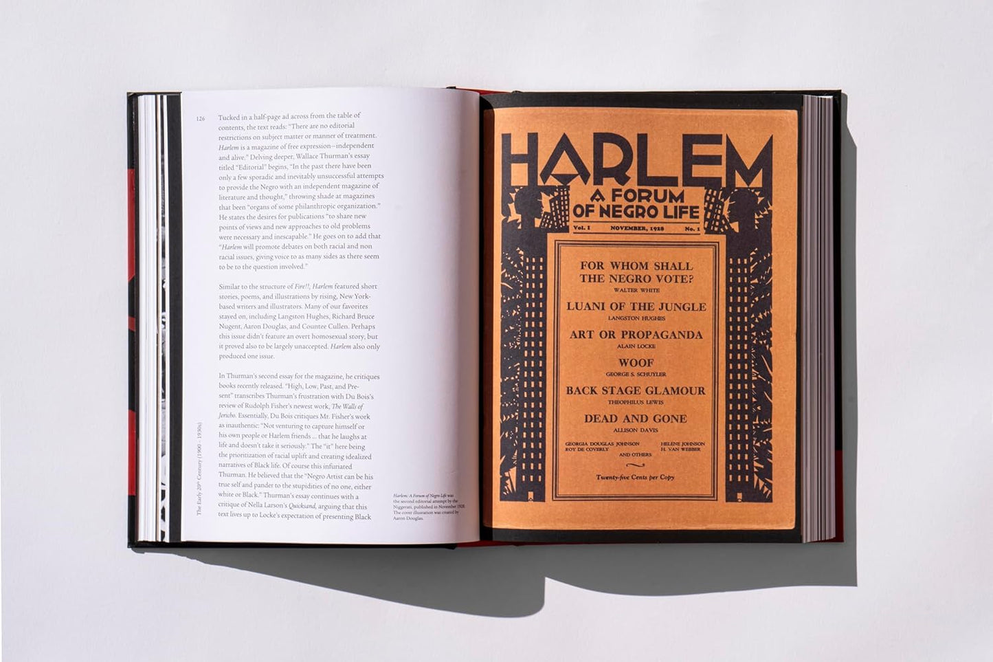 Black, Queer, and Untold: A New Archive of Designers, Artists, and Trailblazers: A New Archive of Designers, Artists, and Trailblazers