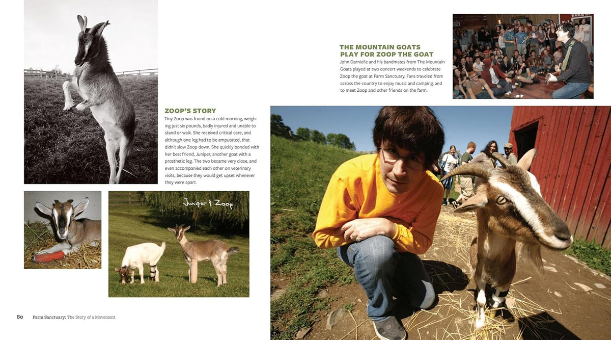 Farm Sanctuary: The Story of a Movement