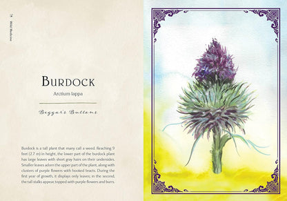 Wild Medicine: An Illustrated Guide to the Magick of Herbs: An Illustrated Guide to the Magick of Herbs