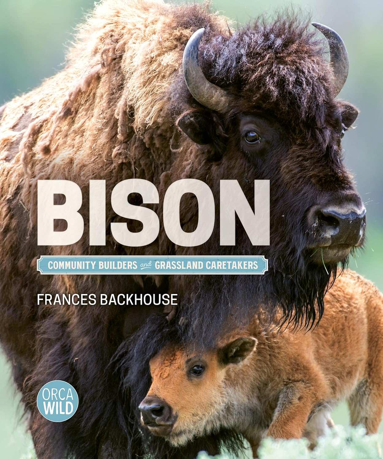 Bison: Community Builders and Grassland Caretakers: Community Builders and Grassland Caretakers
