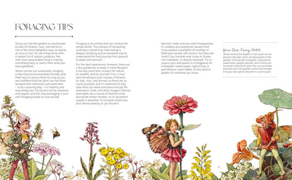 The Flower Fairies Herbal: Recipes and Remedies from the Hedgerow, Field and Forest