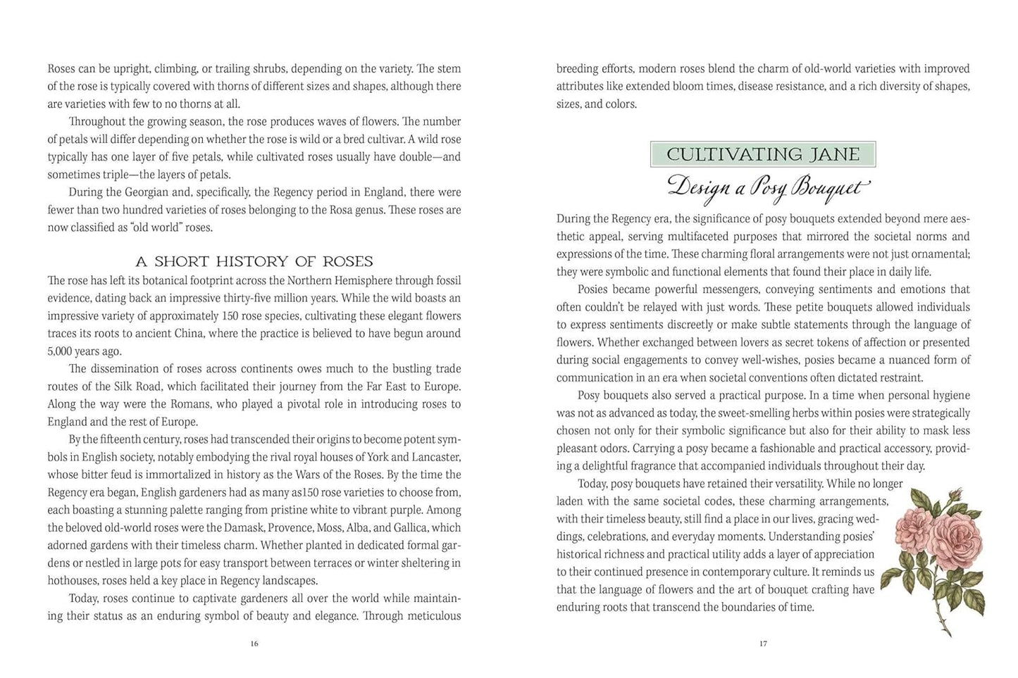 Jane Austen's Garden: A Botanical Tour of the Classic Novels by Molly Williams