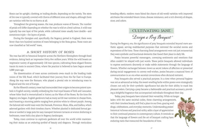 Jane Austen's Garden: A Botanical Tour of the Classic Novels by Molly Williams