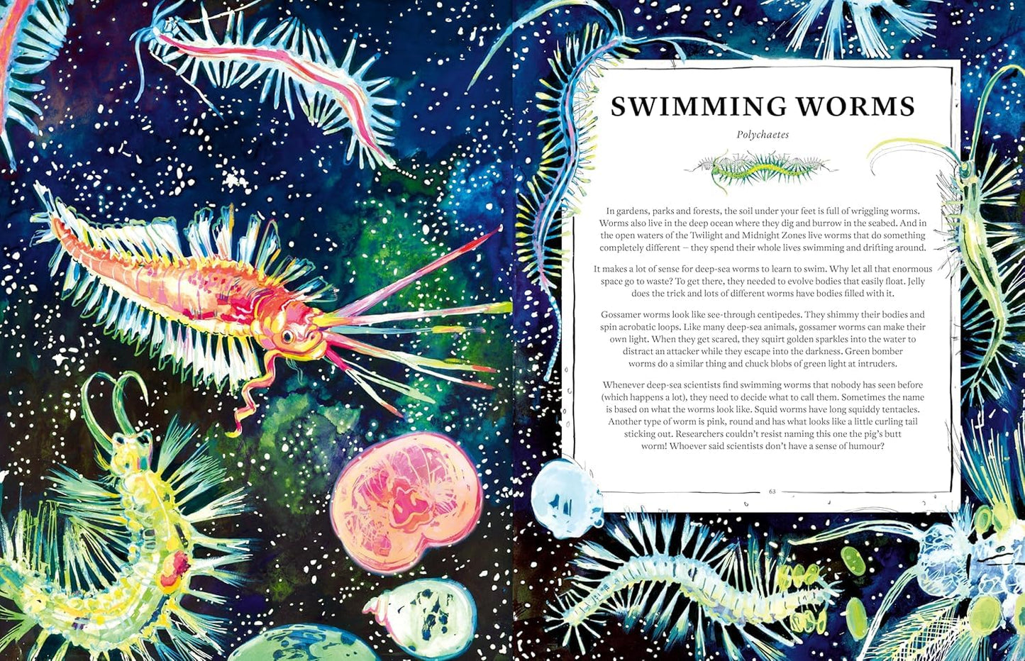 Oceanopedia: An Encyclopedia of Marine Creatures