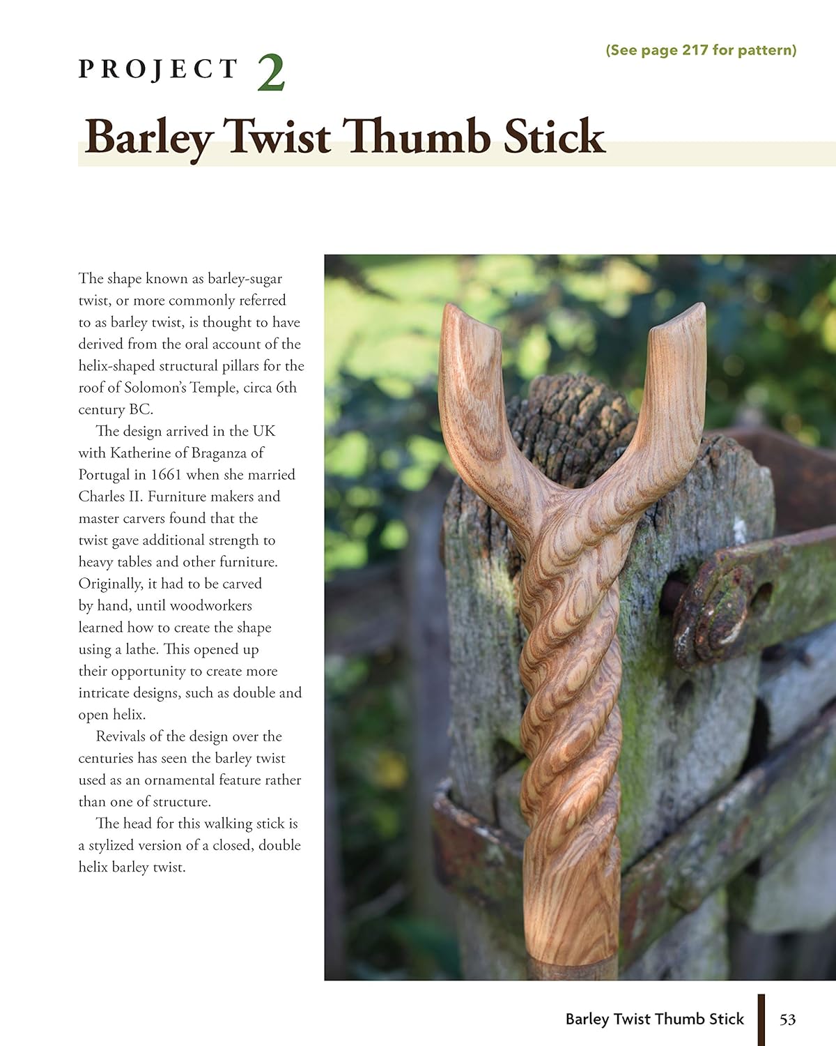 Carving Creative Walking Sticks and Canes: 13 Projects to Carve in Wood: 13 Projects to Carve in Wood
