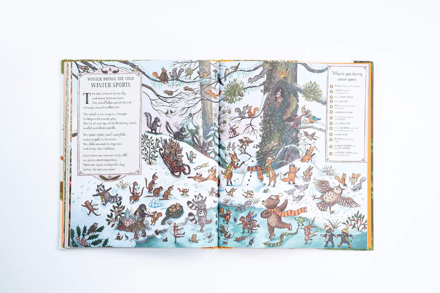 If You Go Down to the Woods Today: More Than 100 Things to Find (Brown Bear Wood)