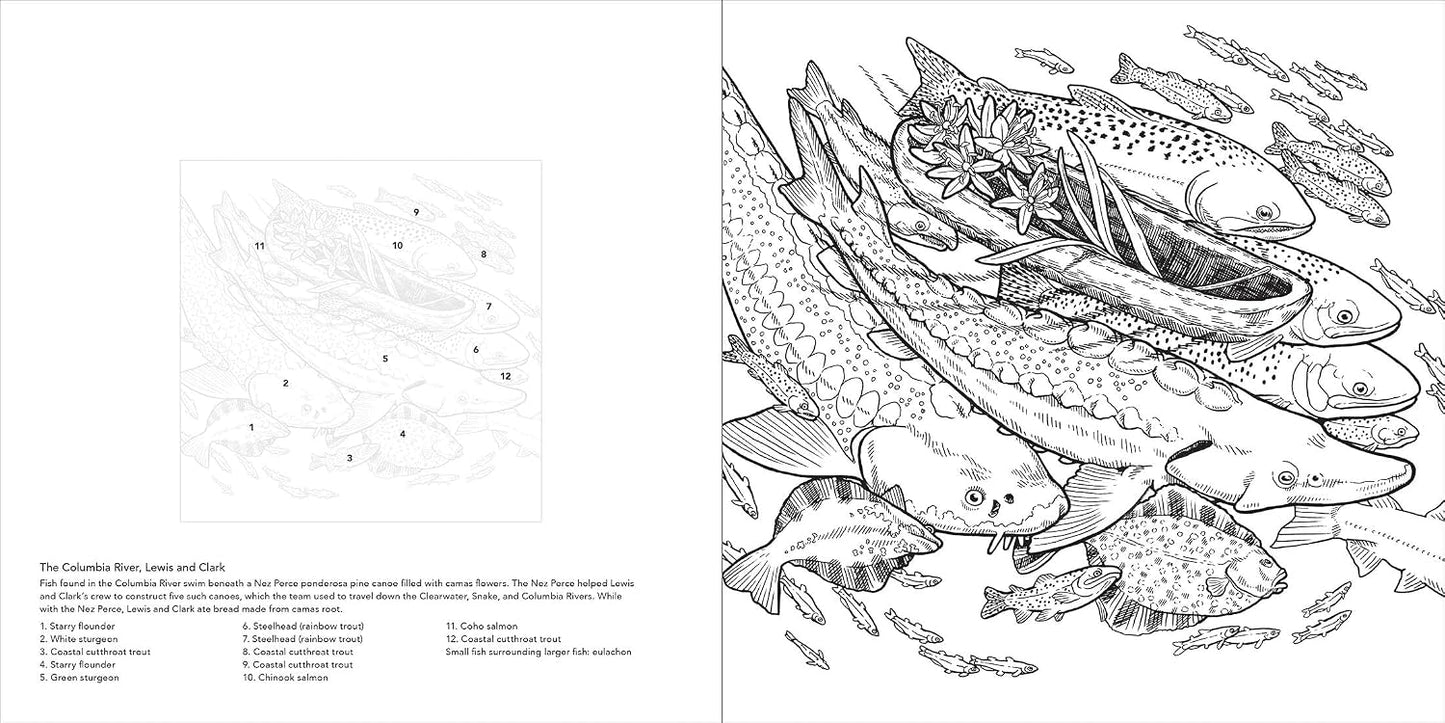 Color the Pacific Northwest