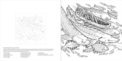 Color the Pacific Northwest