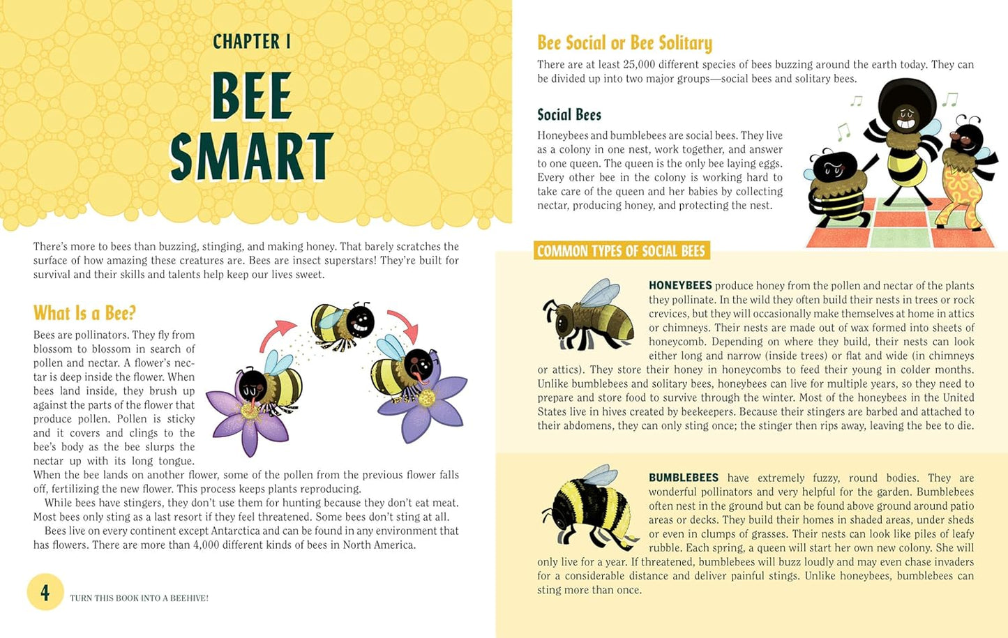 Turn This Book Into a Beehive!: And 19 Other Experiments and Activities That Explore the Amazing World of Bees by Lynn Brunelle