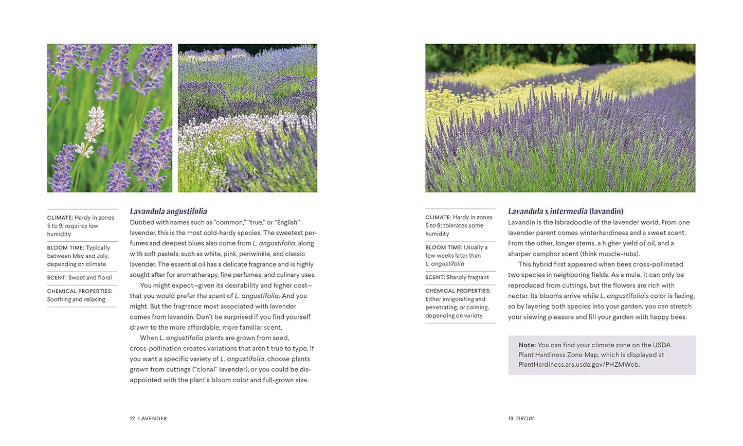 Lavender: 50 Self-Care Recipes and Projects for Natural Wellness by Bonnie Louise Gillis