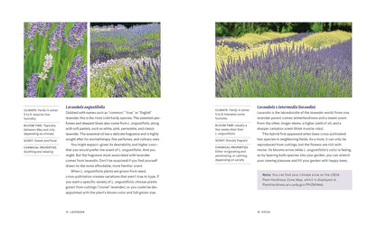 Lavender: 50 Self-Care Recipes and Projects for Natural Wellness by Bonnie Louise Gillis