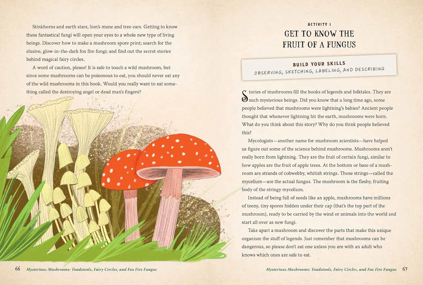 Forest Magic for Kids: How to Find Fairies, Make a Secret Fort, and Cook Up an Elfin Picnic: How to Find Fairies, Make a Secret Fort, and Cook Up an Elfin Picnic