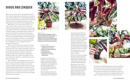 The Propagation Handbook: A Guide to Propagating Houseplants