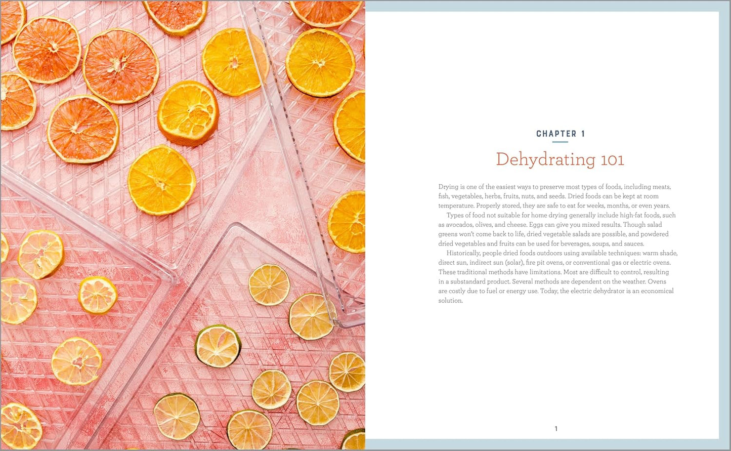 Complete Dehydrator Cookbook: How to Dehydrate Fruit, Vegetables, Meat & More: How to Dehydrate Fruit, Vegetables, Meat & More