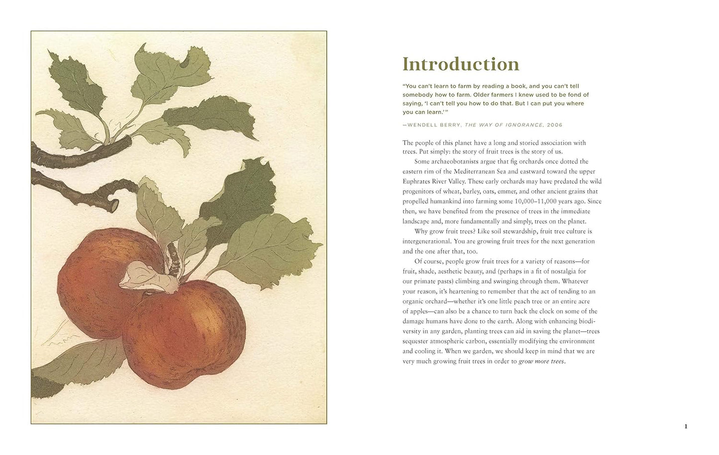 Fruit Trees for Every Garden: An Organic Approach to Growing Apples, Pears, Peaches, Plums, Citrus, and More: An Organic Approach to Growing Apples, Pears, Peaches, Plums, Citrus, and More